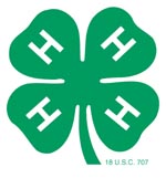 4hclover