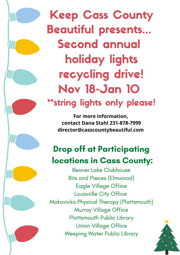 White with Christmas Lights