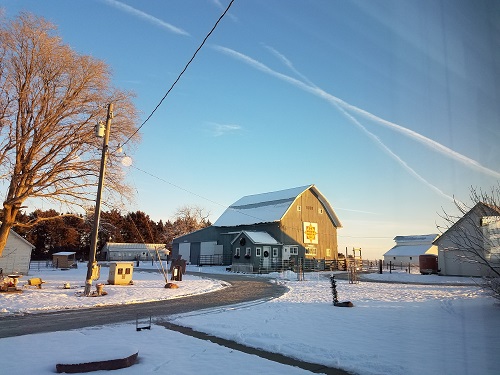 liv nativity thank you