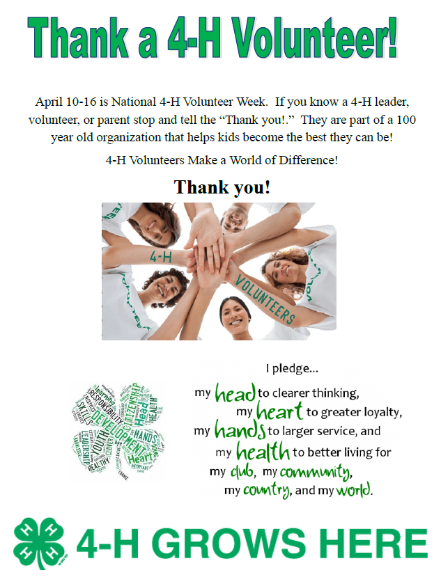 4HvolunteerTH