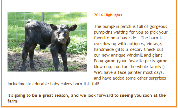 Pumpkin patch2
