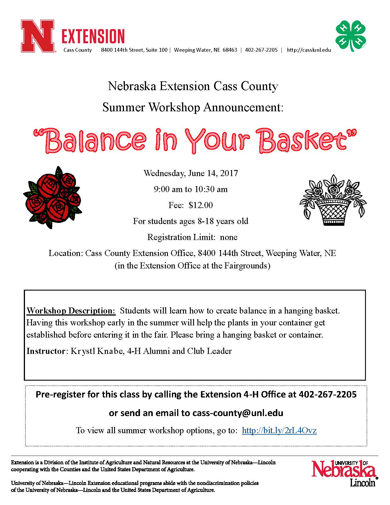 6 Balance in your Basket 2017